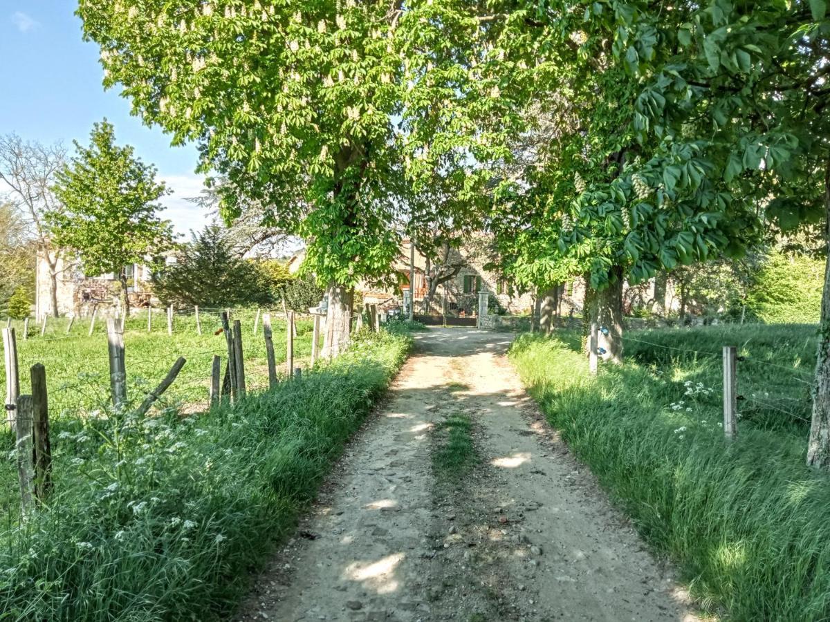"La Voute De Pierre" Gite Independant Saint-Cyr (Ardeche) Exterior foto